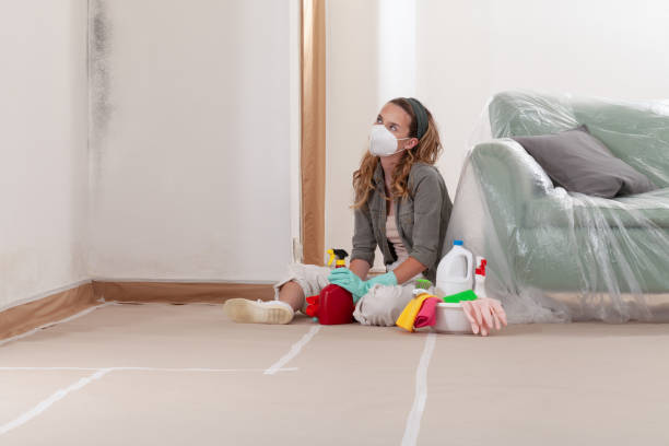 Reliable Mold Cleanup contractor in Woburn, MA by Cheap Mold Removal